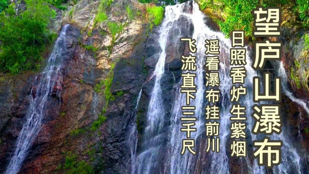 云南楚雄:政务服务进入便捷惠民时代