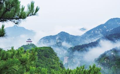 探秘有个特别暖心的大学室友是一种怎样的体验?蜗牛问答,解答你的疑惑!